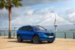 Skoda Kodiaq RS 2019 года (WW)